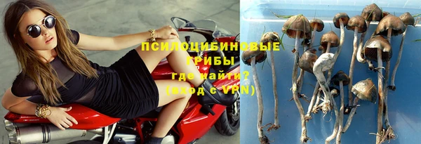 гидропоника Беломорск