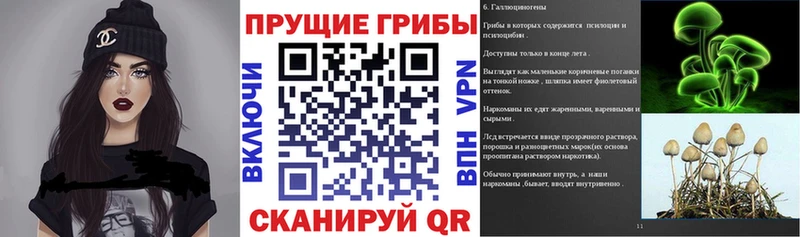 Купить  Нязепетровск  Галлюциногенные грибы ЛСД 